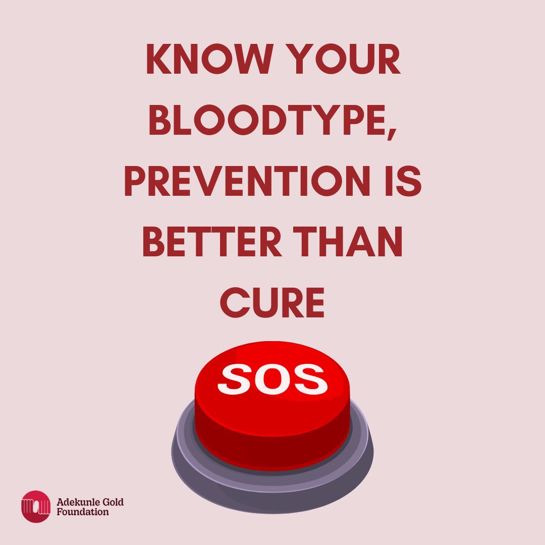 AGoldFoundation's tweet image. Knowledge saves lives because awareness is the first step to prevention ❤️

#AdekunleGoldFoundation 
#GenotypeTest
#GenotypeMatters #SickleCellAwareness