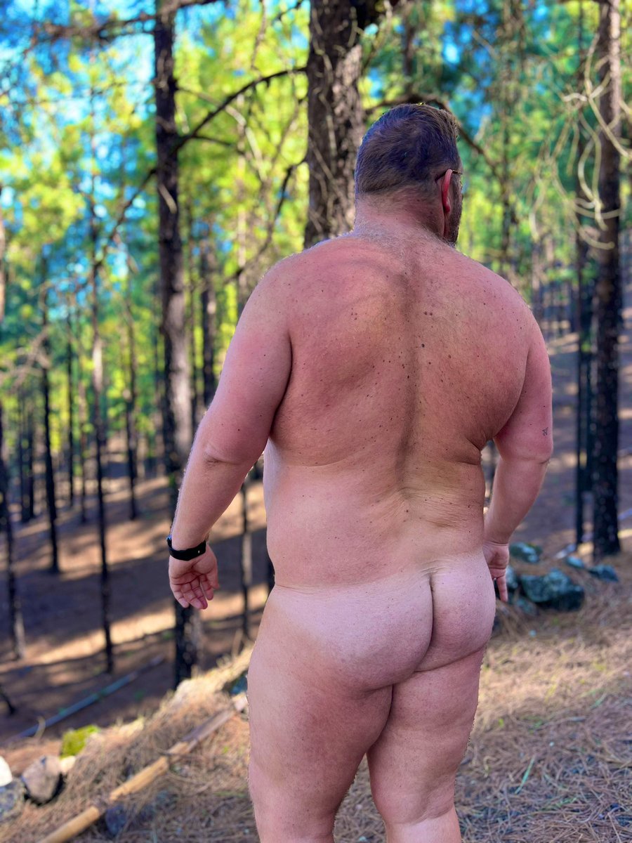 BeefyBear19 tweet media