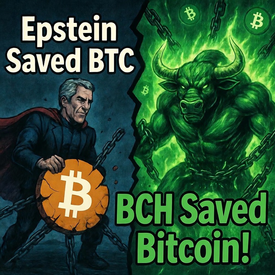 BCH BULL tweet media