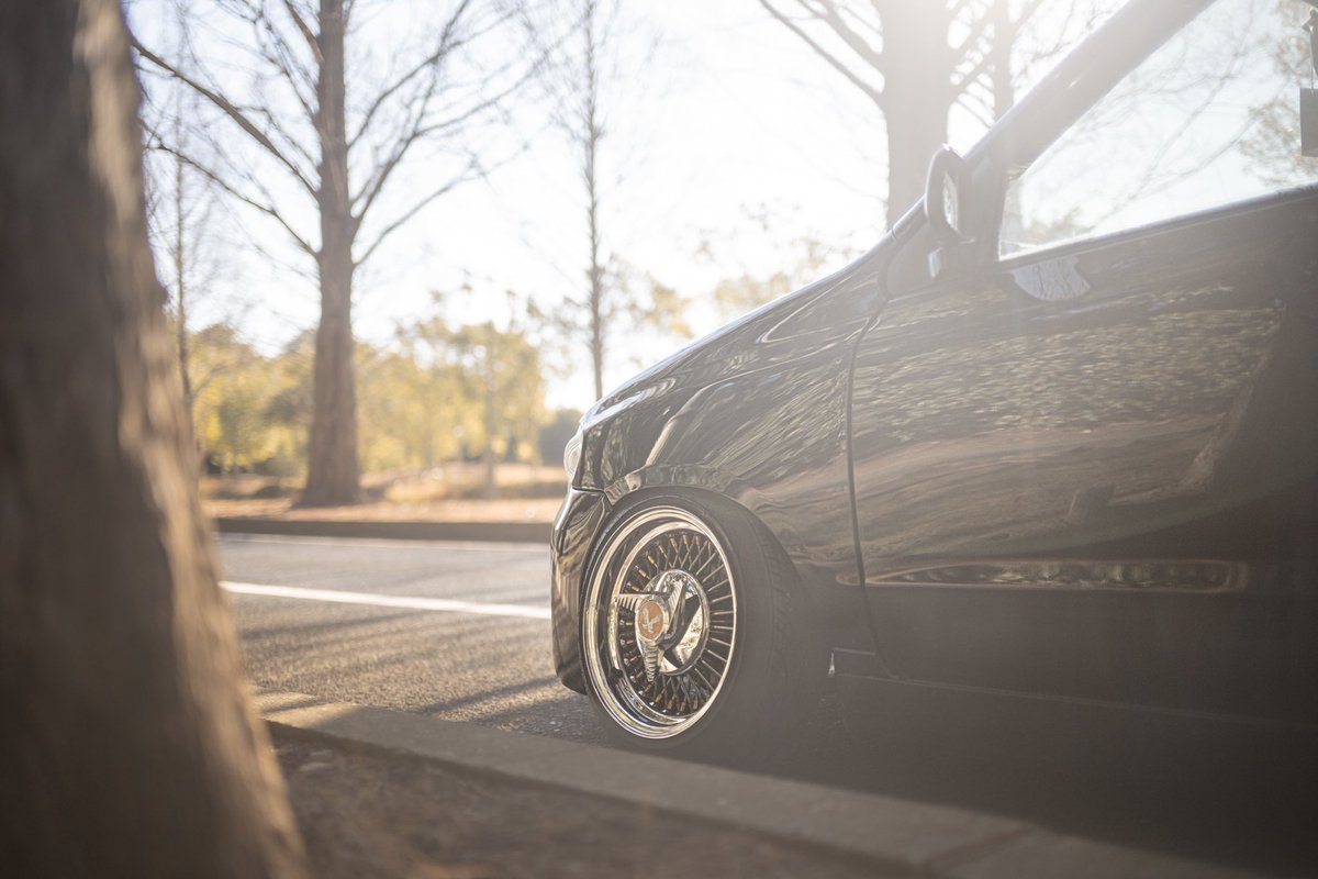 Post by もち2号 mochi#photography on X: 🌳🌳🌳