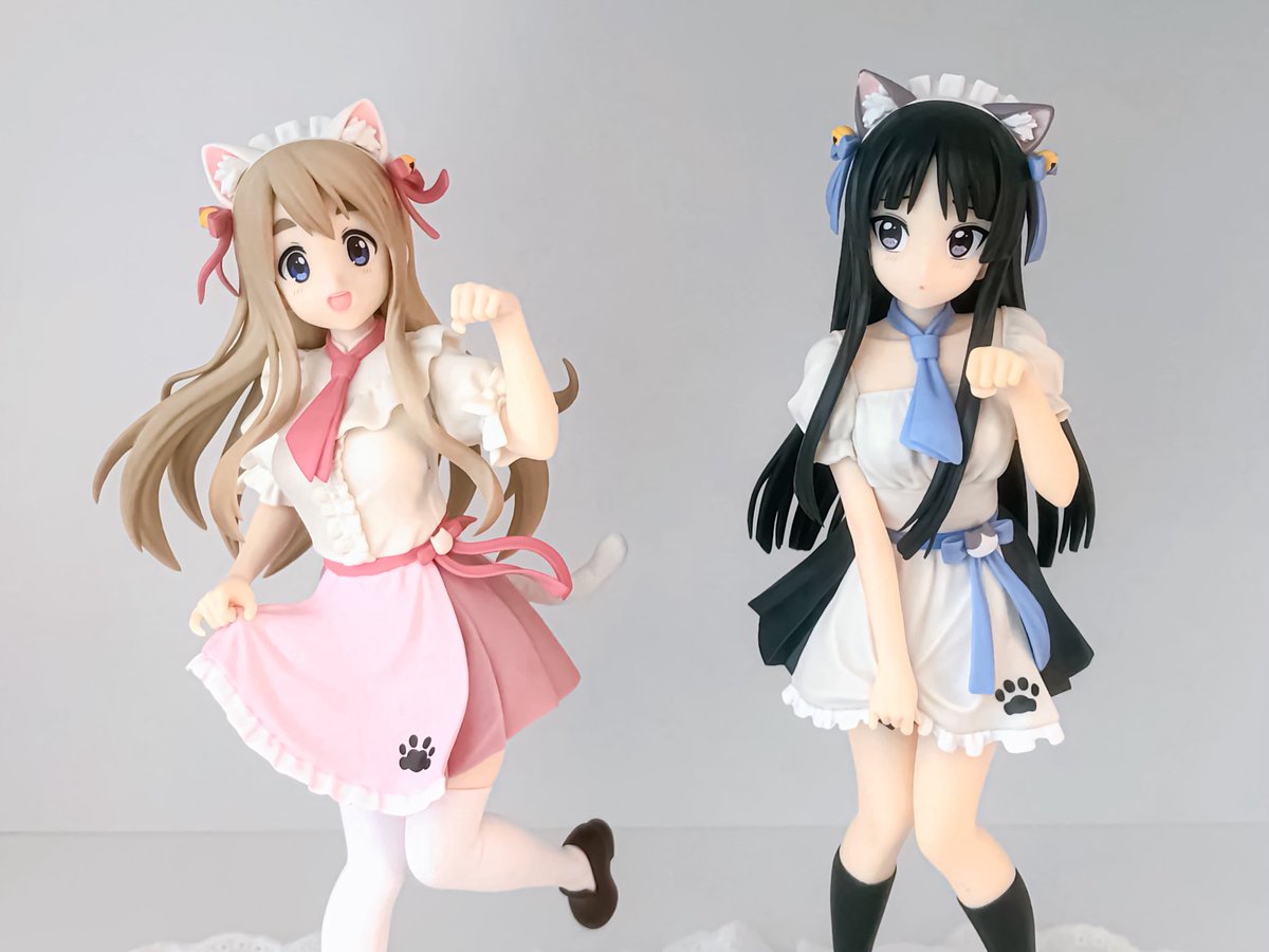 🐾 냥카페에 어서오세요