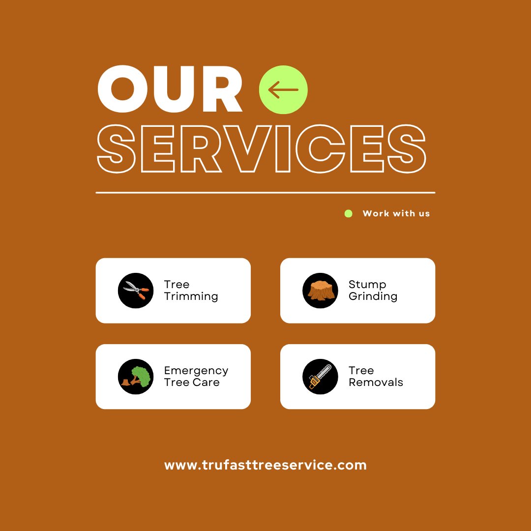 TrufastTree's tweet photo. We offer a wide range of tree services in the Springfield, Missouri area. Our team can assist with tree trimming, pruning, removal, stump grinding, and more. 

Call us to schedule a free consultation. 417-413-4729

#treeservicesgfmo https://t.co/qTZUgjXQ6a