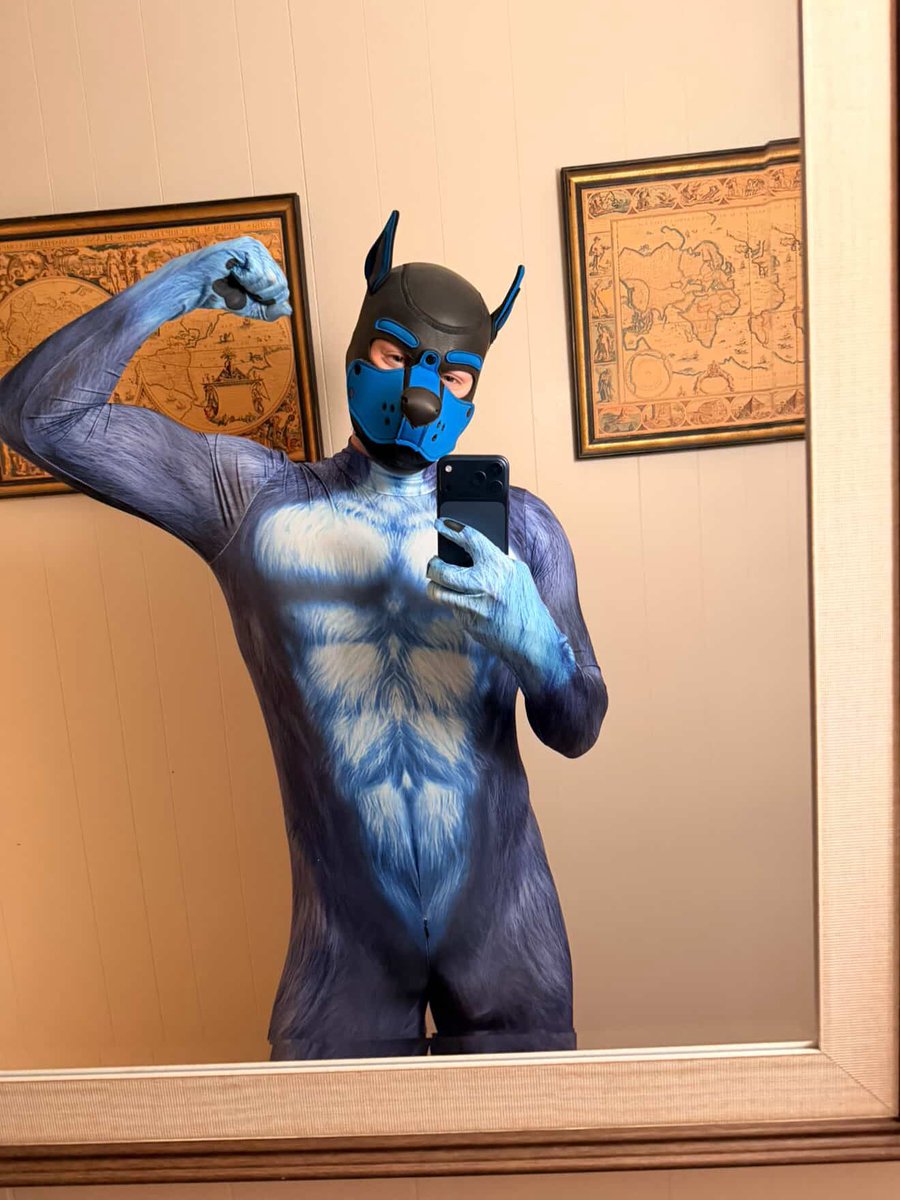 Pup Spidey tweet media