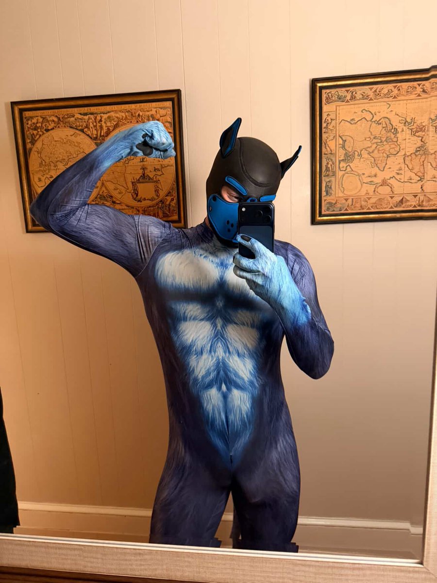 Pup Spidey tweet media