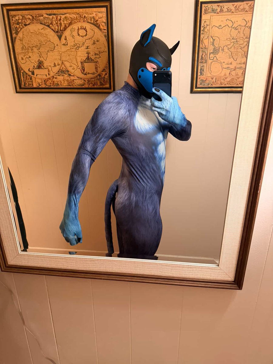 Pup Spidey tweet media