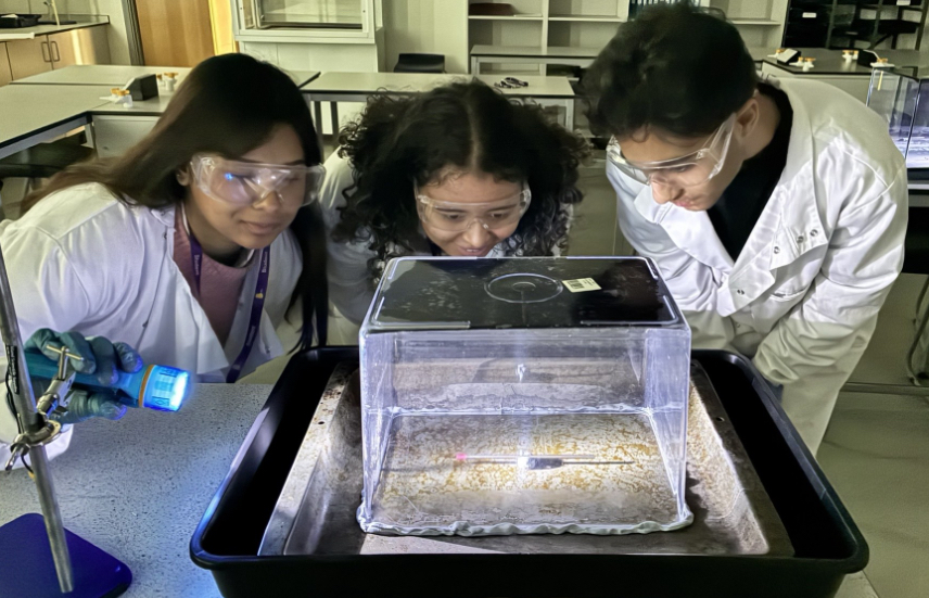 Maitreyee, Nizar, and Athena brought A-level Physics to life through hands-on experiments with gamma radiation and cosmic rays. Working safely with a cobalt-60 source, they explored the inverse-square law, then built a cloud chamber to reveal invisible particle tracks. Image