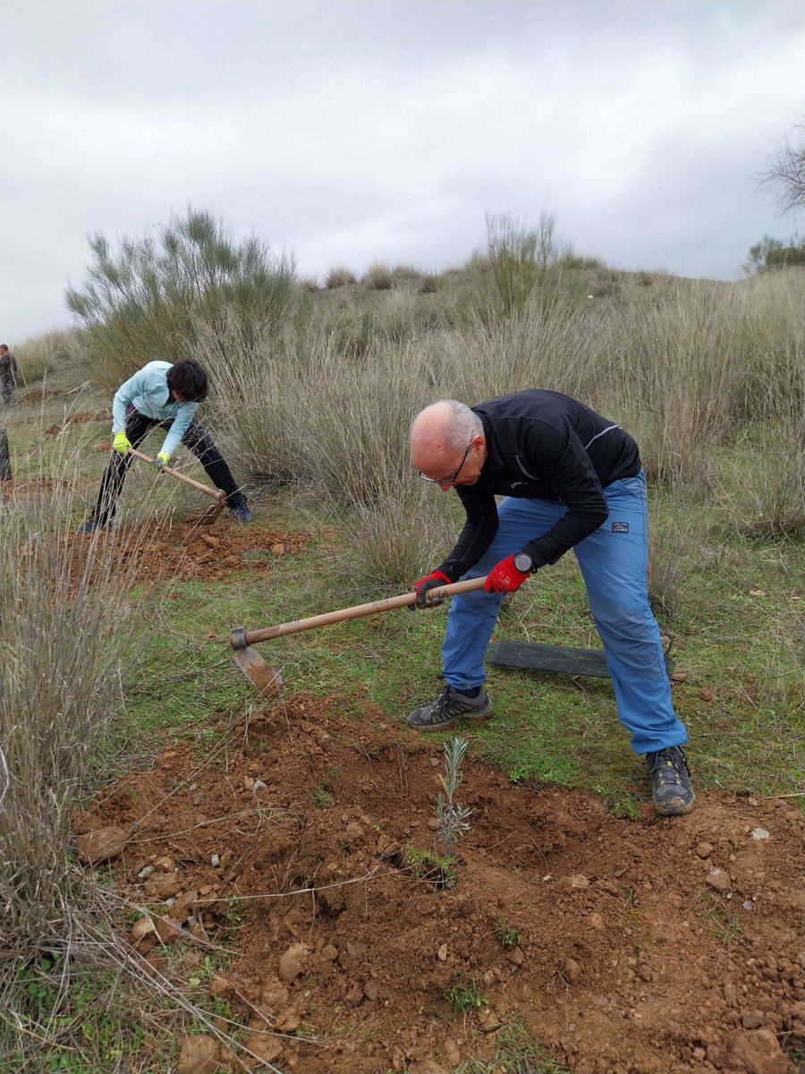 Soc Esp Cardiología tweet media