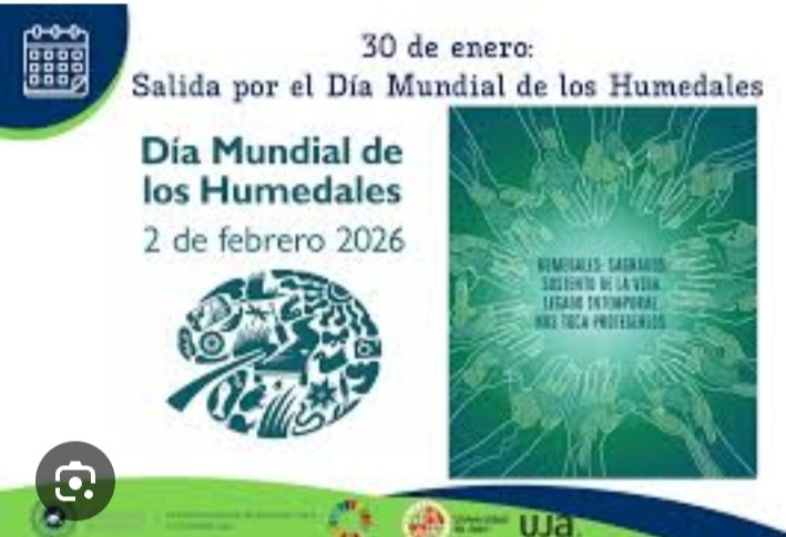 DaliaMa24412289's tweet image. La protección de los humedales tienen una gran importancia en nuestro país. Los formamos parte del proyecto Mi costa, realizamos acciones educativas para salvar y rescatar la flora y la fauna. Cuidar los humedales es salvar el #PlanetaVerde @DiazCanelB @naimatrujillob