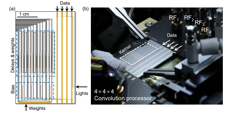 CPS Journals tweet media
