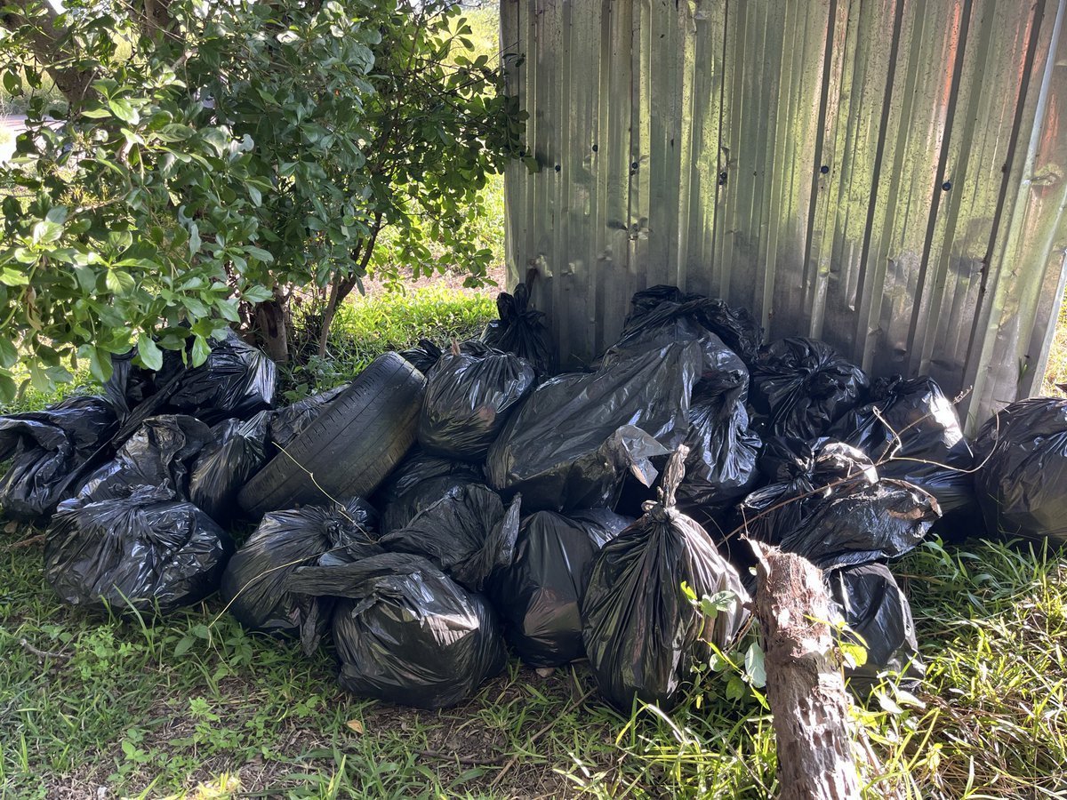 Monavale Wetland #SaveMonavaleVlei tweet media