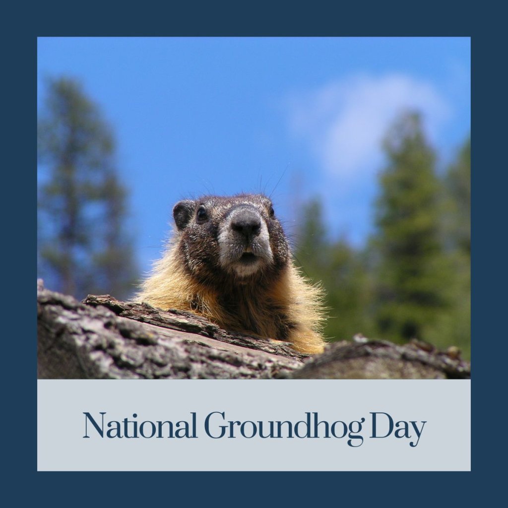 Campmor's tweet image. Shadow or not, we’re still heading outside. 🐾
More winter? Great. Early spring? Even better.
Gear up + stay ready for whatever the forecast says. 🌤️
#GroundhogDay #AlwaysAdventuring #Campmor