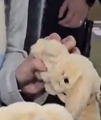 KMayaKwangbae's tweet image. โกลดี้โป๊ โดน พรบ แล้วหรอ555555555555555555555555555555555555555555555555555555555555555555