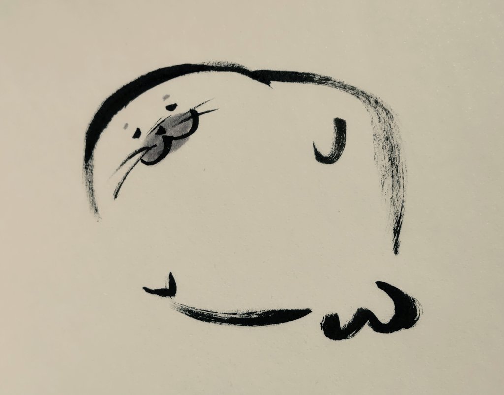 色んな角度のアザラシを描いた。 どこから見ても好き。