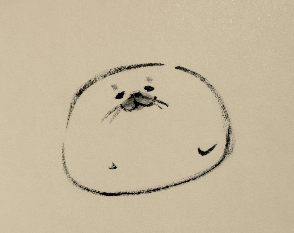 色んな角度のアザラシを描いた。 どこから見ても好き。