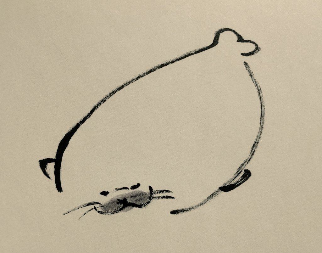 色んな角度のアザラシを描いた。
どこから見ても好き。