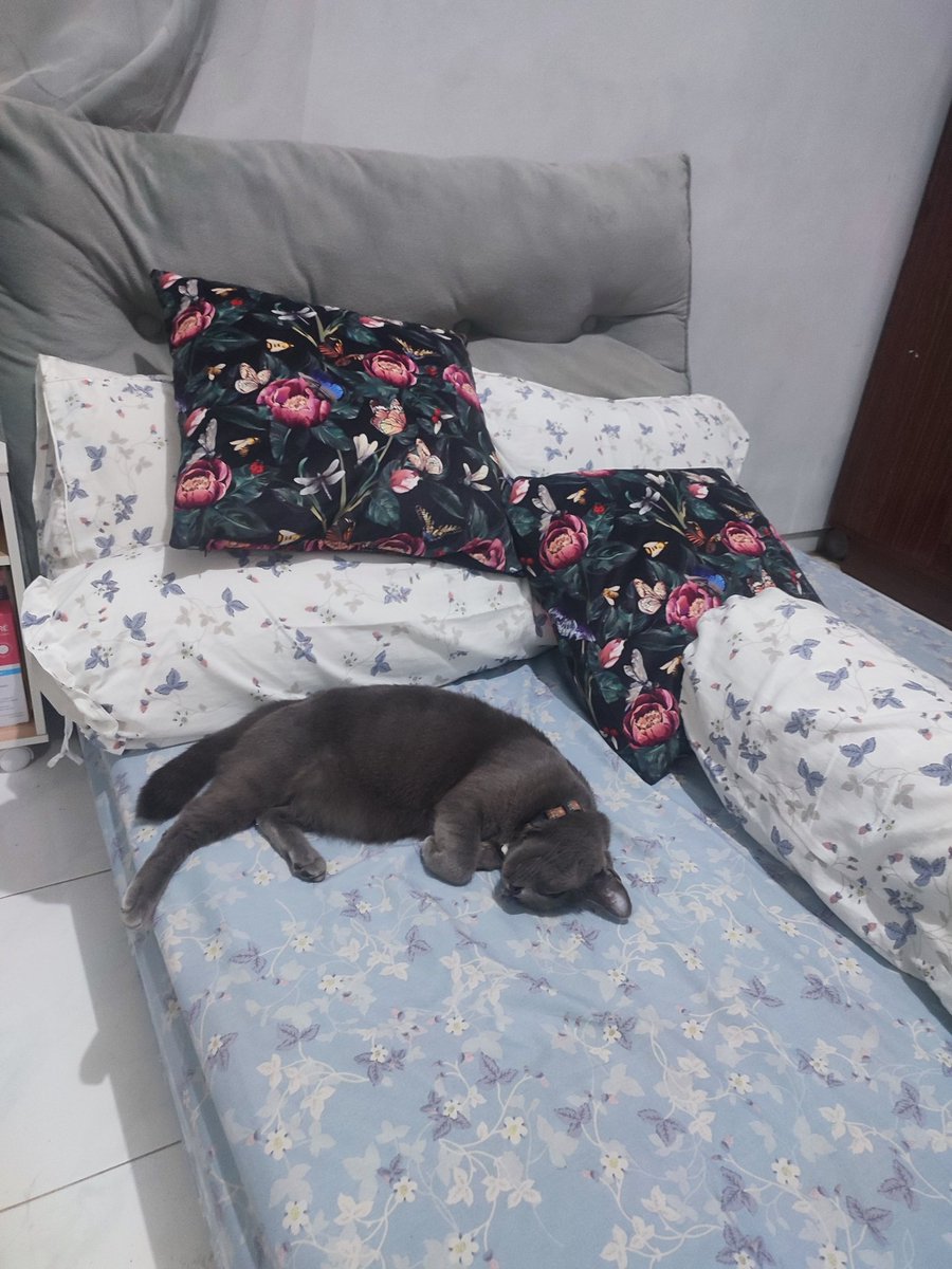 Vira Riany 🔻 tweet media