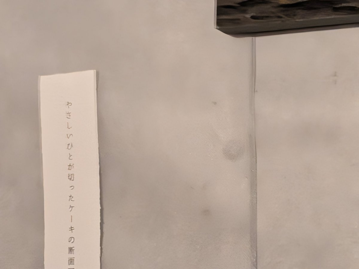 半年ぶりの葉ね文庫の展示「葉ねのかべ」です。第27弾、城水めぐみ【川柳】と谷脇クリタ【絵・島】の融合作品です。壁全体を不思議の海に見立てた展示で、すべて今回のための新作です。期間は明日（2/2）から5月頃まで。ぜひご覧ください。#葉ね文庫　#葉ねのかべ