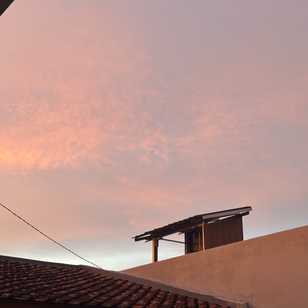 helloosydney___'s tweet image. Pink skies