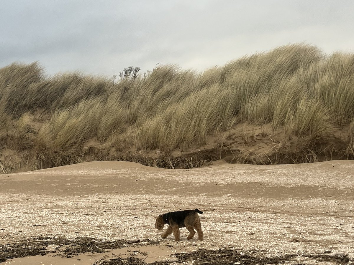Memories of the wee man. February calendar pic. 💔