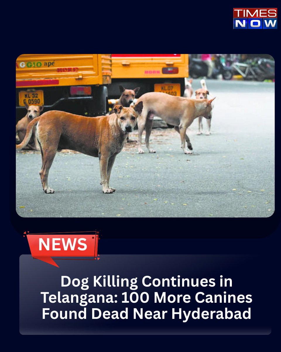 TIMES NOW tweet media