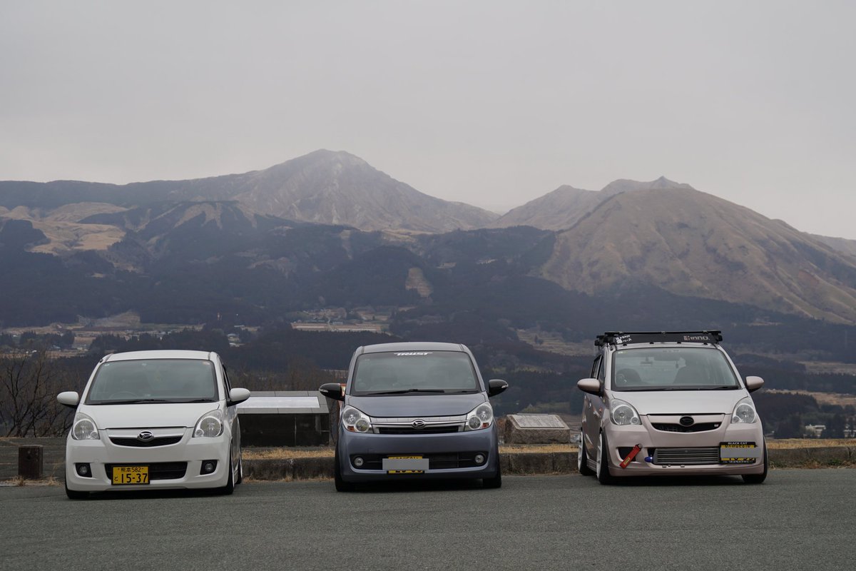 アオイ tweet media