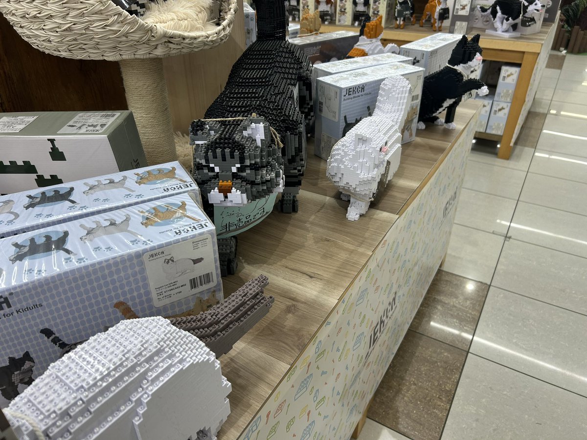 HmjstLuciferina's tweet photo. ジョイフルホンダで、猫とかワンちゃんとか、恐竜ブロック売ってた。
これはラグドール。
非売品の巨大猫に、ペルシャ。
あんま似てないけど、トンキニーズもあった。
にゃん太やブルーにそっくりな巨大猫、非売品で毎回展示だけ。
ラグドールもトンキニーズも、欲しいが買えぬ。泣きたくなる。
(高い) https://t.co/o46WkLQUYL