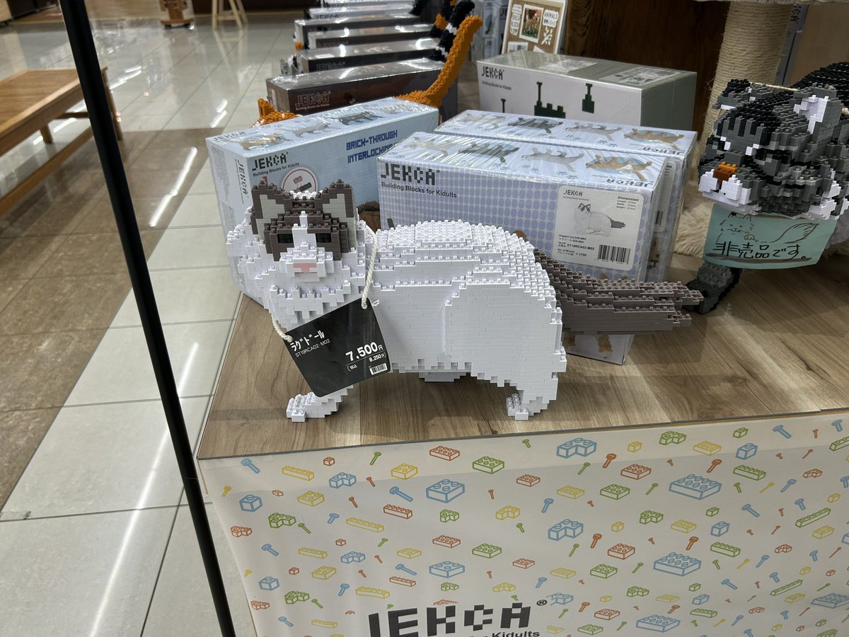 HmjstLuciferina's tweet photo. ジョイフルホンダで、猫とかワンちゃんとか、恐竜ブロック売ってた。
これはラグドール。
非売品の巨大猫に、ペルシャ。
あんま似てないけど、トンキニーズもあった。
にゃん太やブルーにそっくりな巨大猫、非売品で毎回展示だけ。
ラグドールもトンキニーズも、欲しいが買えぬ。泣きたくなる。
(高い) https://t.co/o46WkLQUYL