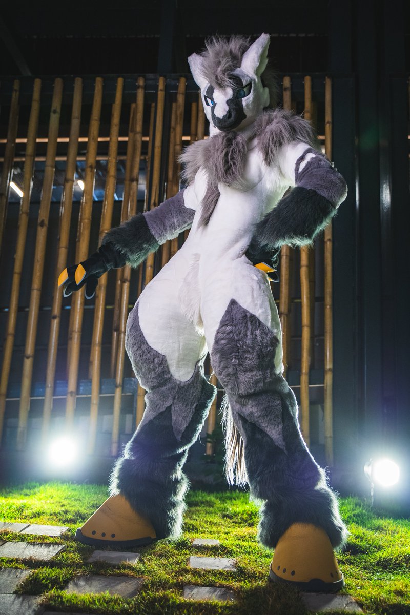 庫洛Cooro🇭🇰🔜ちるこん🔜Thaitails (@CooroWolf) / Posts / X