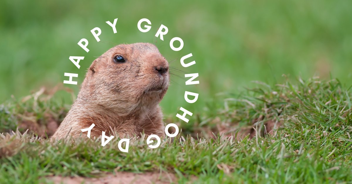 ShopMidnite's tweet photo. Will #PunxsutawneyPhil see his shadow? The furriest of weathermen is ready for his big day on Sunday and we just want to know “#IsItSpringYet?” #GroundhogDay
https://t.co/PdEfvLhg8S https://t.co/u2el3Tzf9e