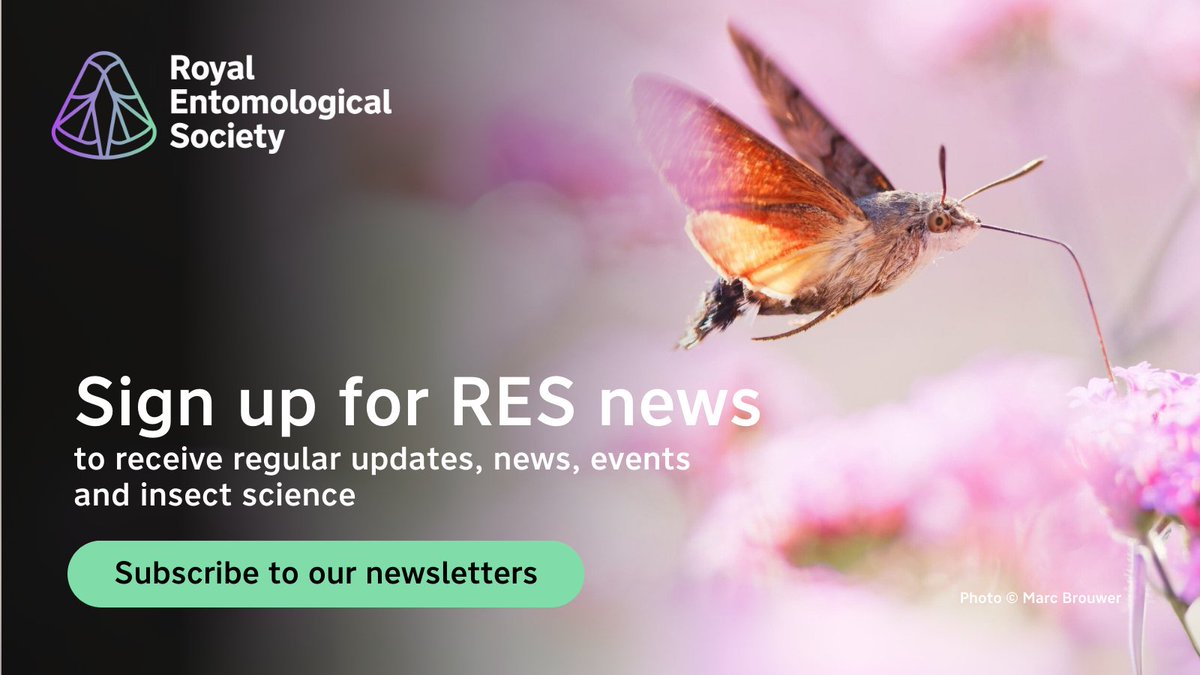 RoyEntSoc's tweet image. Join our newsletter groups and discover the world of #Insects 🦋

Get occasional updates from us and stay informed on the latest #InsectScience from our Scientific, Supporter and Education newsletters.

Find out how you can be part of the journey 🔽
royensoc.co.uk/newsletter/