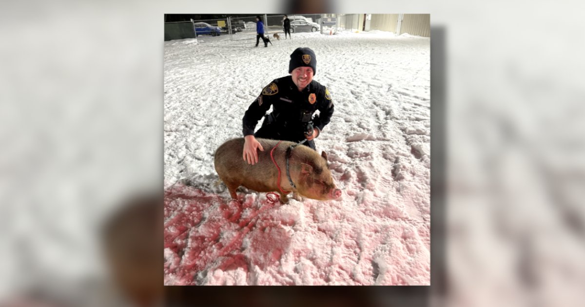 A Muskegon Township police officer became an unlikely hero this