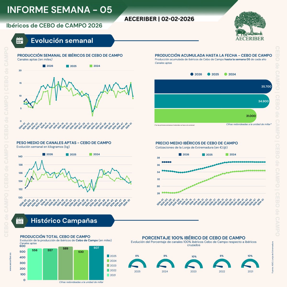 AECERIBER tweet media