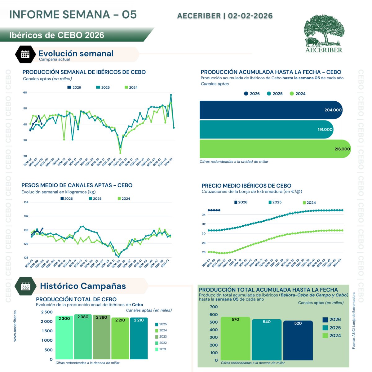 AECERIBER tweet media