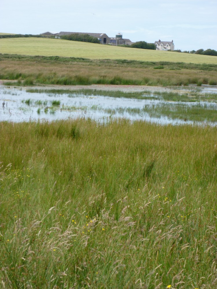 National Plant Monitoring Scheme tweet media