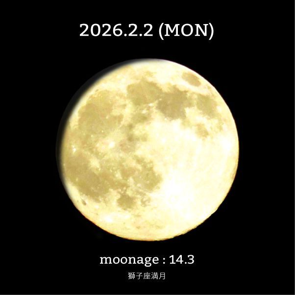 moon_cycle (@mooncylce) / Posts / X