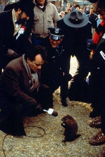 010zuid's tweet photo. Yes, it is.

Happy Groundhog Day! https://t.co/onrhZugGkR