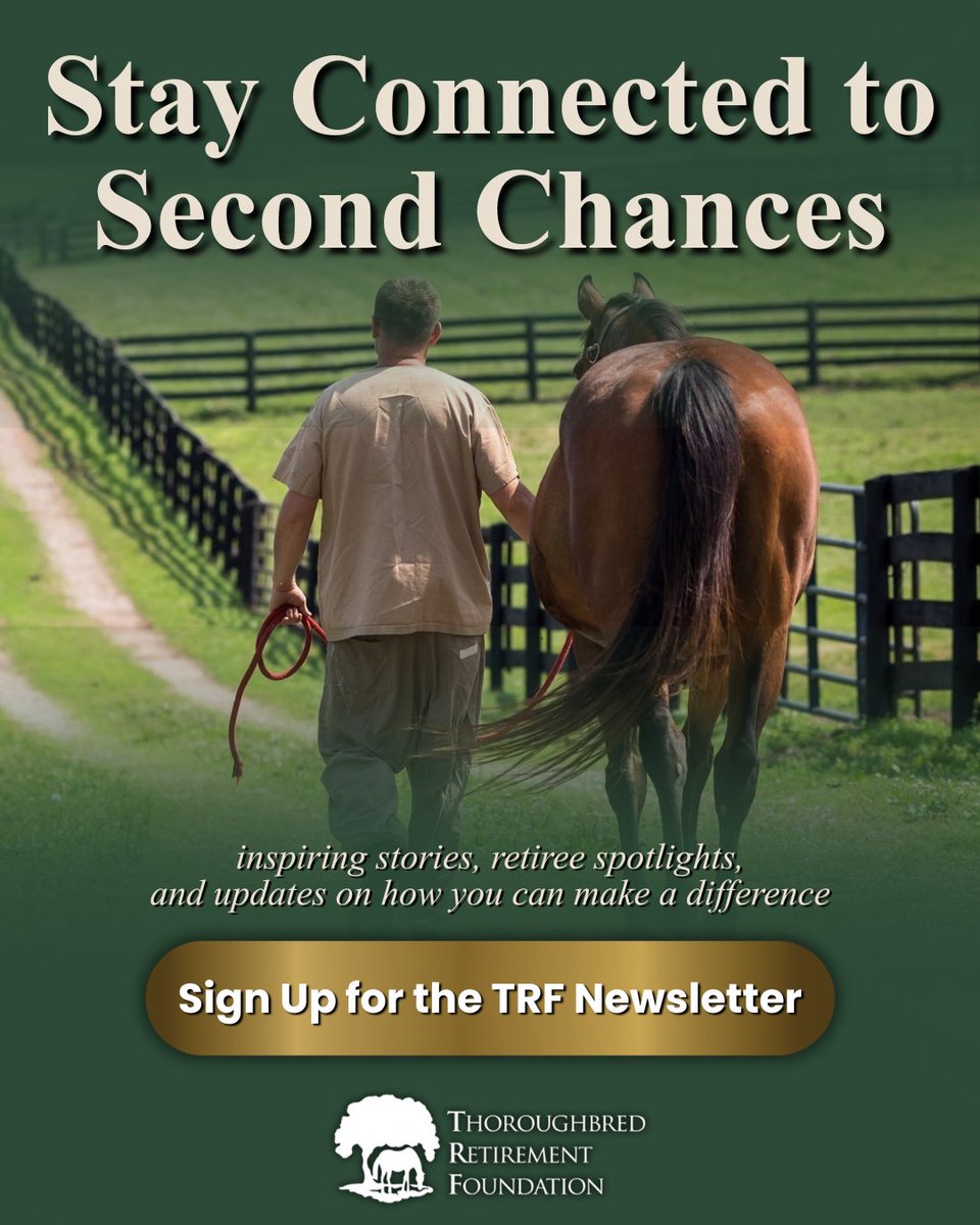 Thoroughbred Retirement Foundation (TRF) tweet media