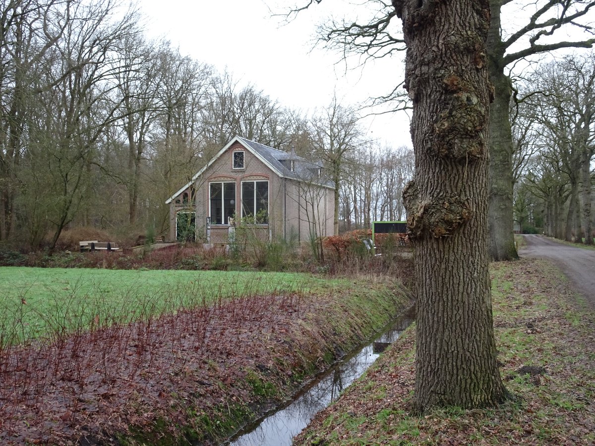 Wandelnet tweet media