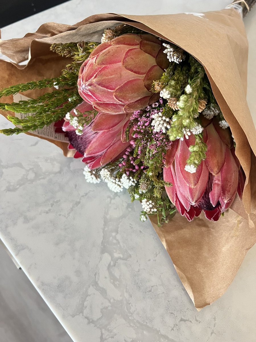 SothoGirlDiaries tweet media