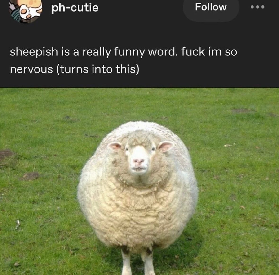 no context memes tweet media