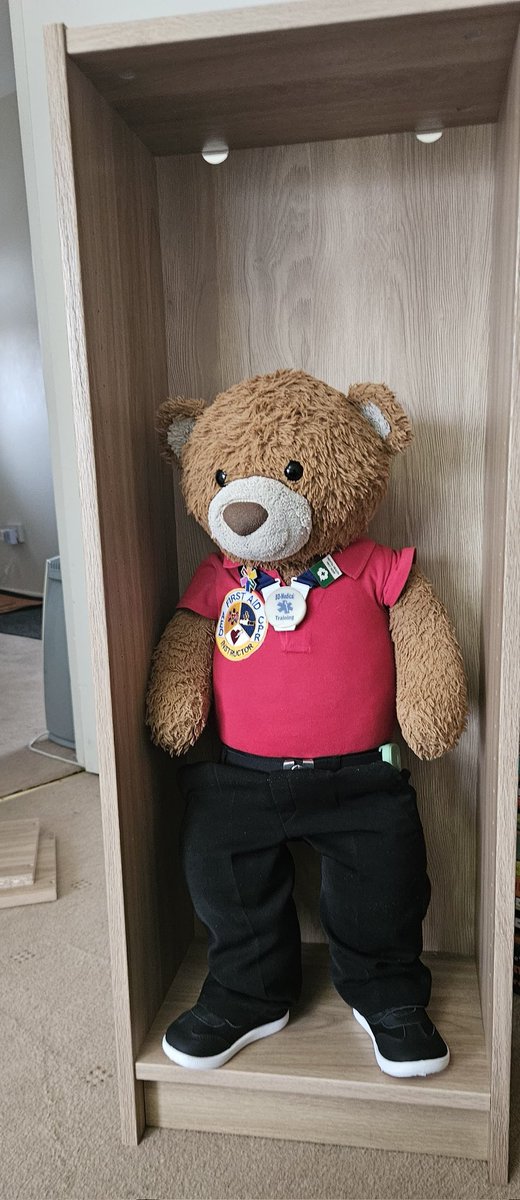 BDMed_Bear's tweet photo. Busy today building our little #BillyBookcase & #KALLEXcubby from @IKEAUK
So fun fact - I actually really enjoy building #flatpackfurniture & these were super easy! Just need to put the shelves in & I'm all done!
#bearswithjobs #MondayMotivation https://t.co/OptkhEuHu2