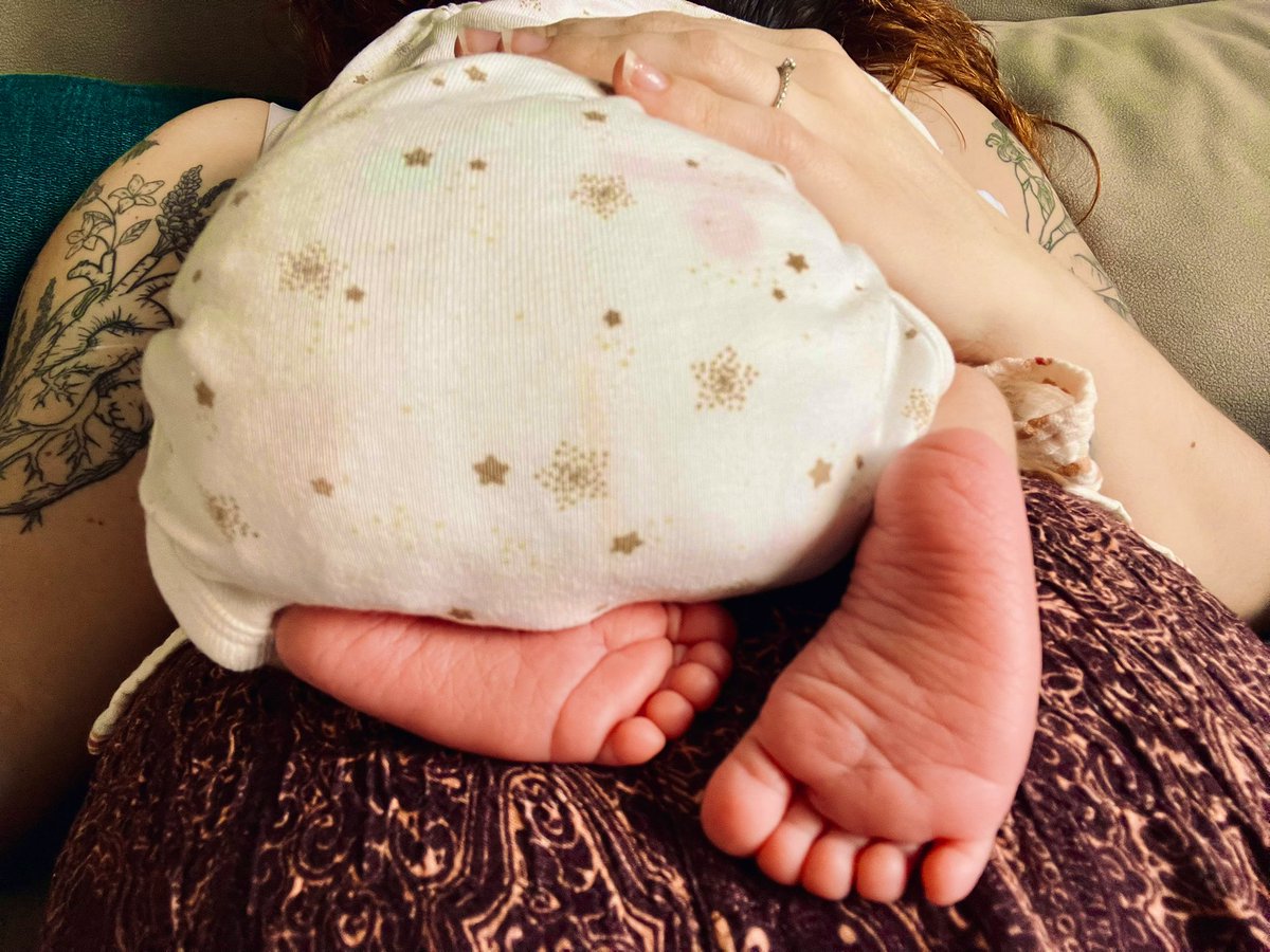 🍄Selodris 🍁 tweet media