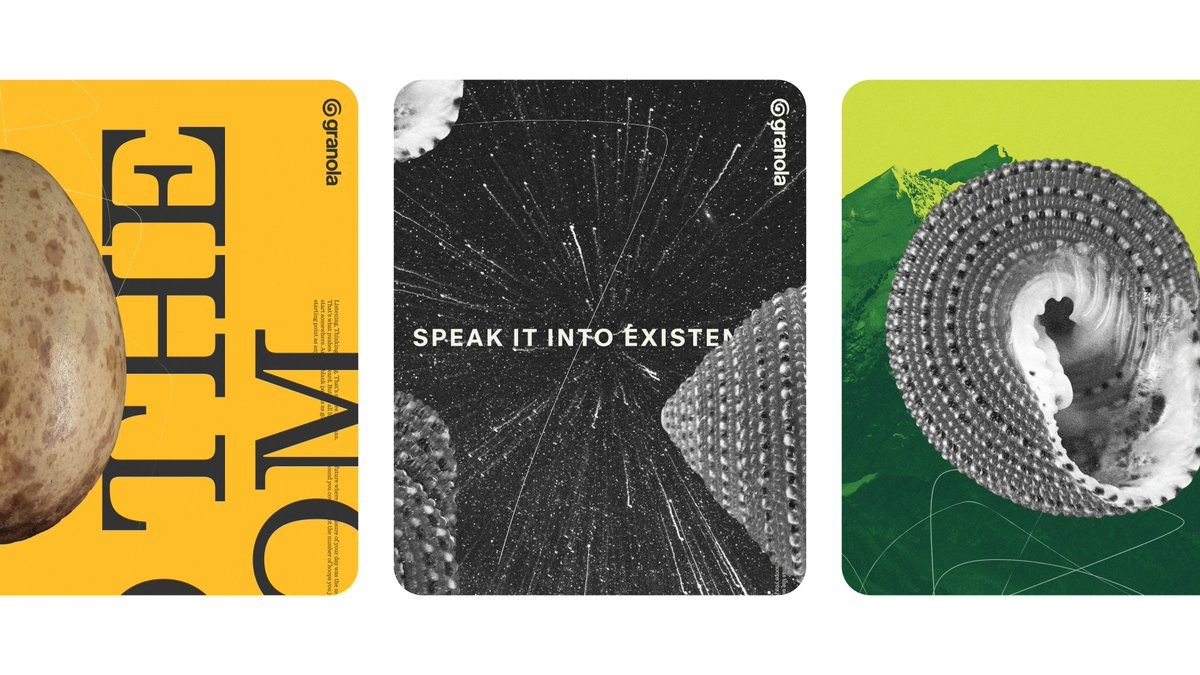 Ridd 🤿 tweet media