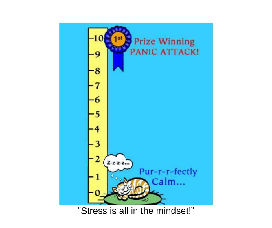 Ray for the day ~ “Stress is all in the mindset!"