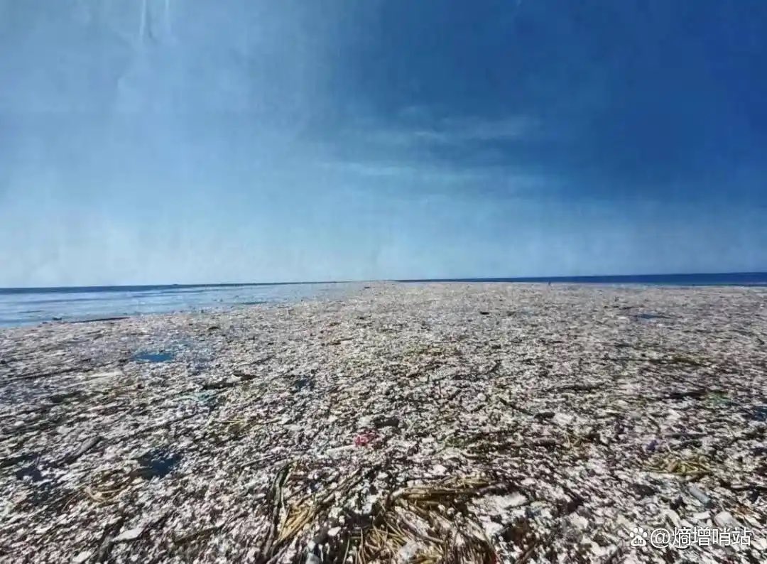 Sean37229648's tweet photo. @LEBcando @elonmusk 2. The second picture was taken by underwater photographer Caroline Power in 2017 on Roatan Island in Honduras, but that's in the Atlantic Ocean - it's not even close to the Pacific! https://t.co/OZdGNluDd1