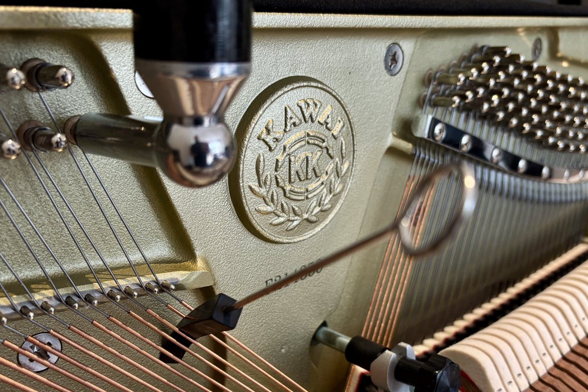 GoPianoTuning's tweet photo. Theres There’s the week off to a flying start. A complimentary tuning on a rather nice Kawai on behalf of Bonners Pianos and then on to a lovely Bluthner I’ve had the pleasure of looking after for many years. 

Call to get piano tuning booked in too

https://t.co/QM9Rh1JMpc https://t.co/tAJE6ncm6Z