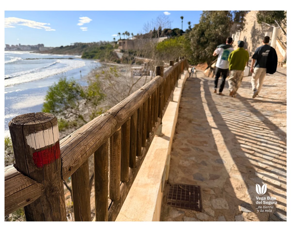 Vega Baja del Segura tweet media