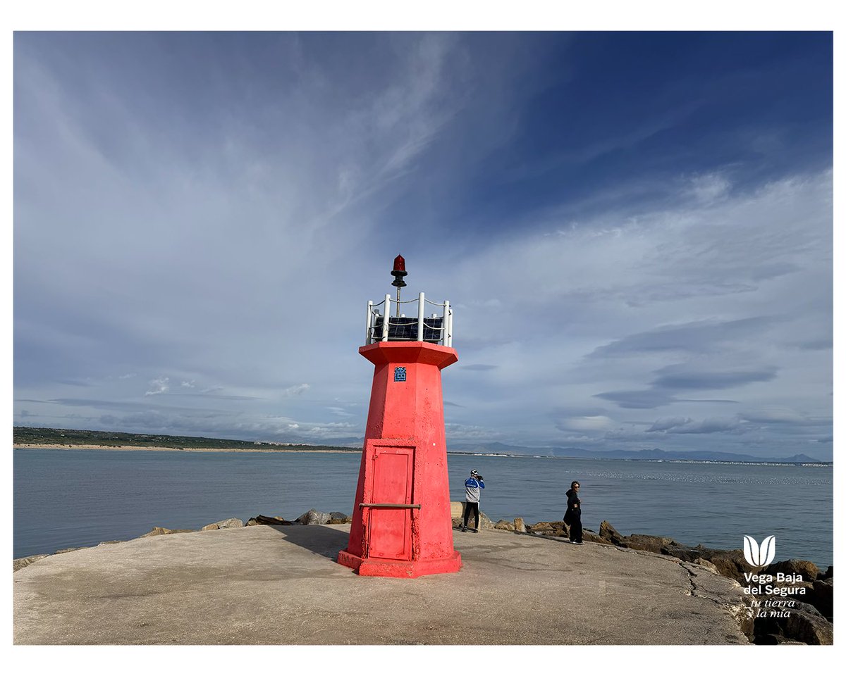 Vega Baja del Segura tweet media