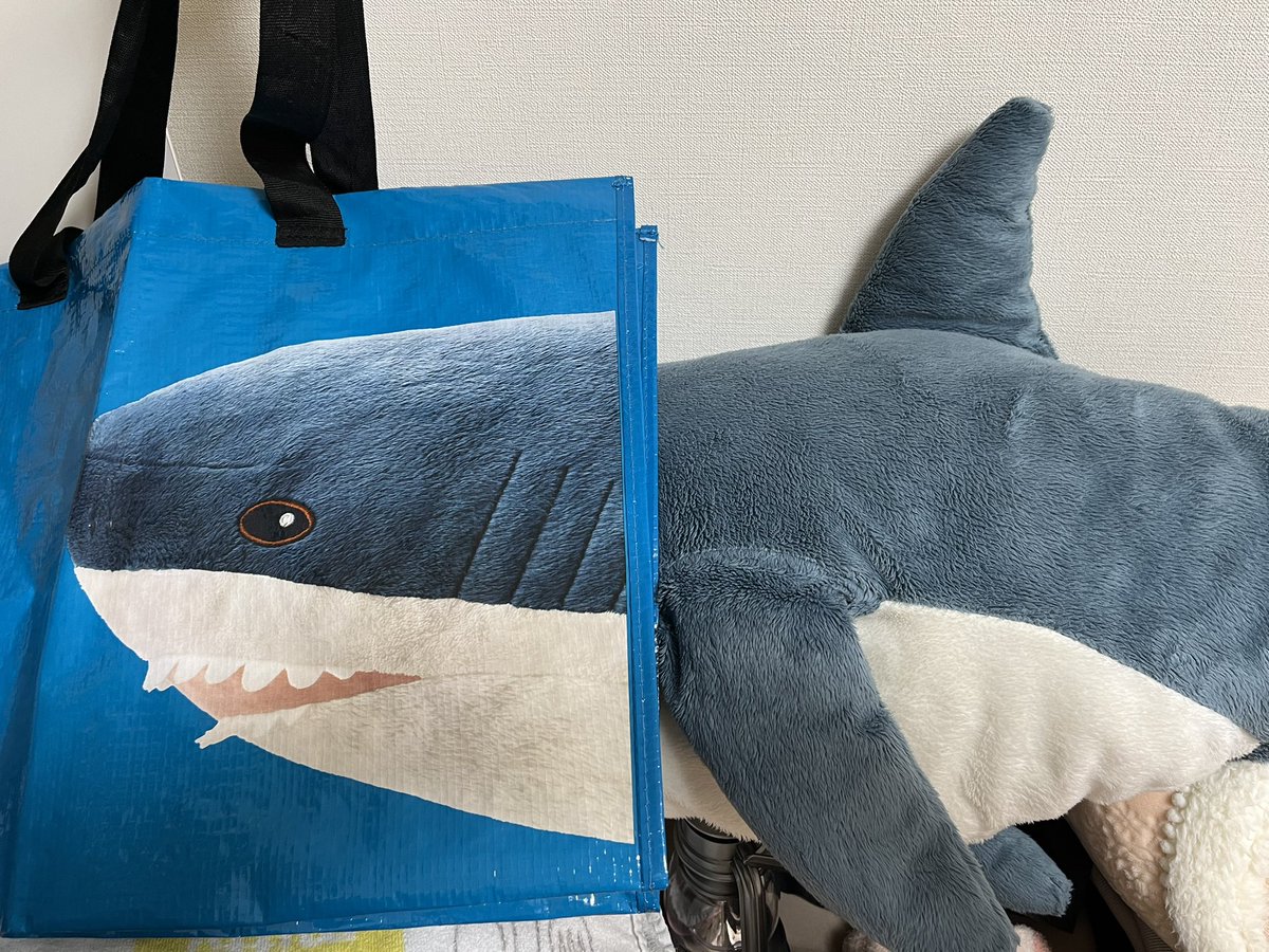 migapatch's tweet image. むむむ…？
トリックアートサメかな？🦈👀✨️
#IKEAサメ #IKEAshark #blahaj #IKEA