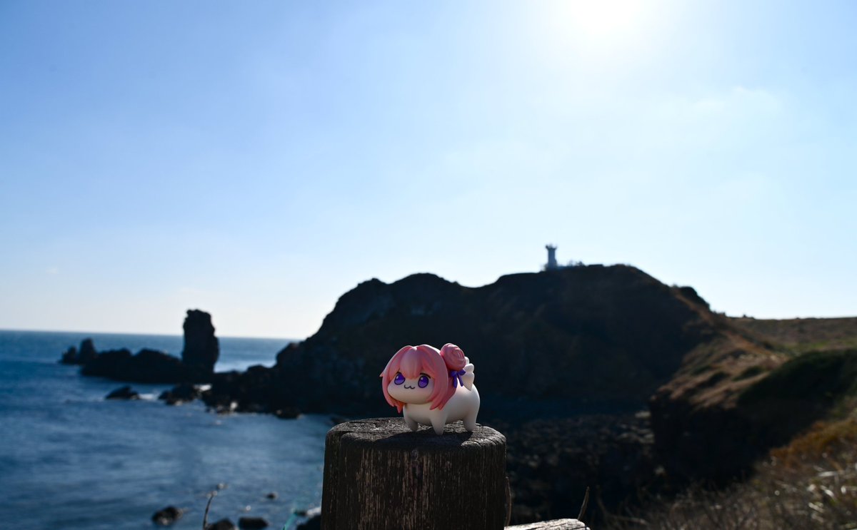 宮崎葉月 tweet media